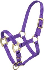 Tough1 Premium Horse Halter, Purple, Suckling