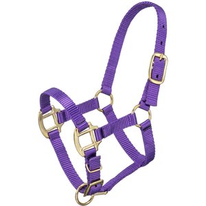 Tough1 Premium Horse Halter, Purple, Suckling