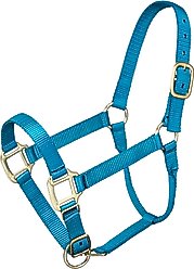 Tough1 Premium Horse Halter, Turquoise, Pony