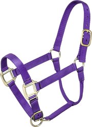Tough1 Premium Horse Halter, Purple, Pony