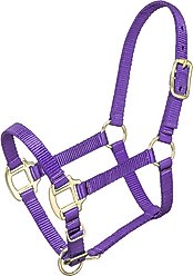 Tough1 Premium Horse Halter, Purple, Miniature - Small