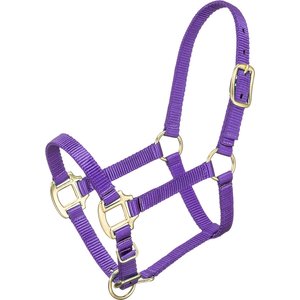 Tough1 Premium Horse Halter, Purple, Miniature - X-Large
