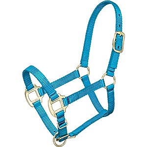 Tough1 Premium Horse Halter, Turquoise, Miniature - Medium