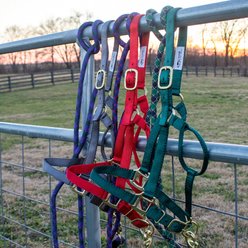 Tough1 Premium Horse Halter, Hunter Green, Horse slide 2 of 2