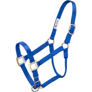 Tough1 Premium Horse Halter, Royal Blue, Horse