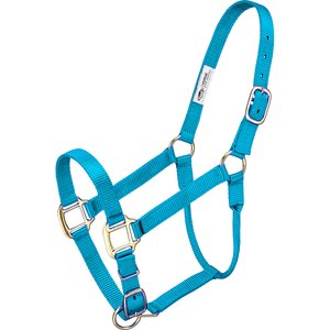 Tough1 Premium Horse Halter, Turquoise, Horse