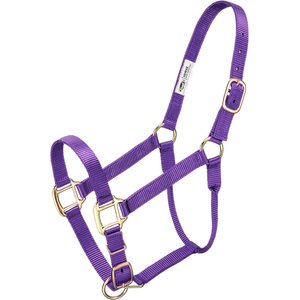Tough1 Premium Horse Halter, Purple, Horse