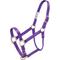Show in main carousel: Tough1 Premium Horse Halter, Purple, Horse slide 1 of 3