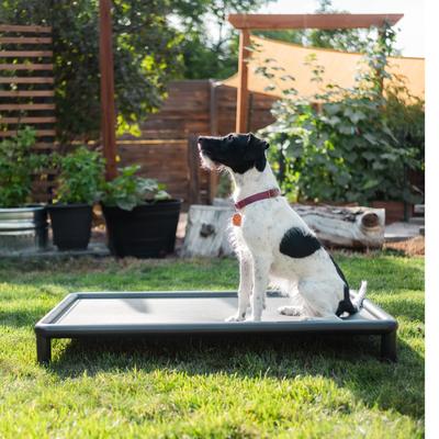 Show full view: Snorehound Chew-Proof Aluminum Frame Elevated Dog Bed, Peppered Paws, Small slide 3 of 6