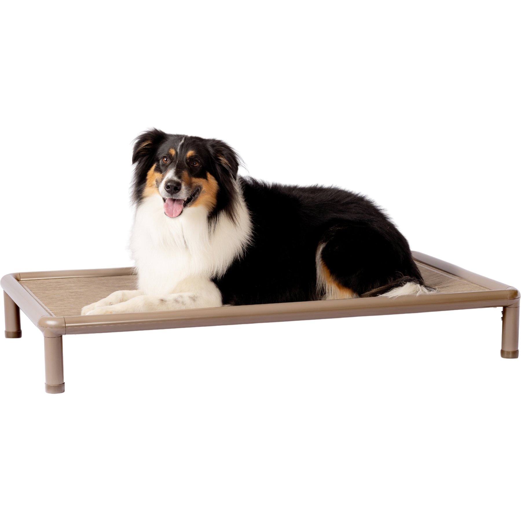 Snorehound Chew-Proof Aluminum Frame Elevated Dog Bed, Barking Brown, Large