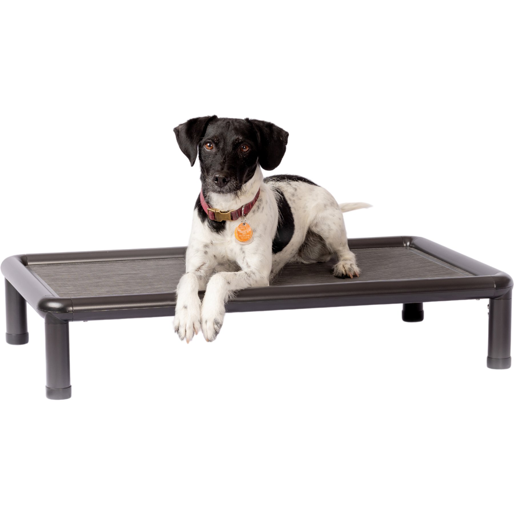 Snorehound Chew-Proof Aluminum Frame Elevated Dog Bed, Peppered Paws, Small