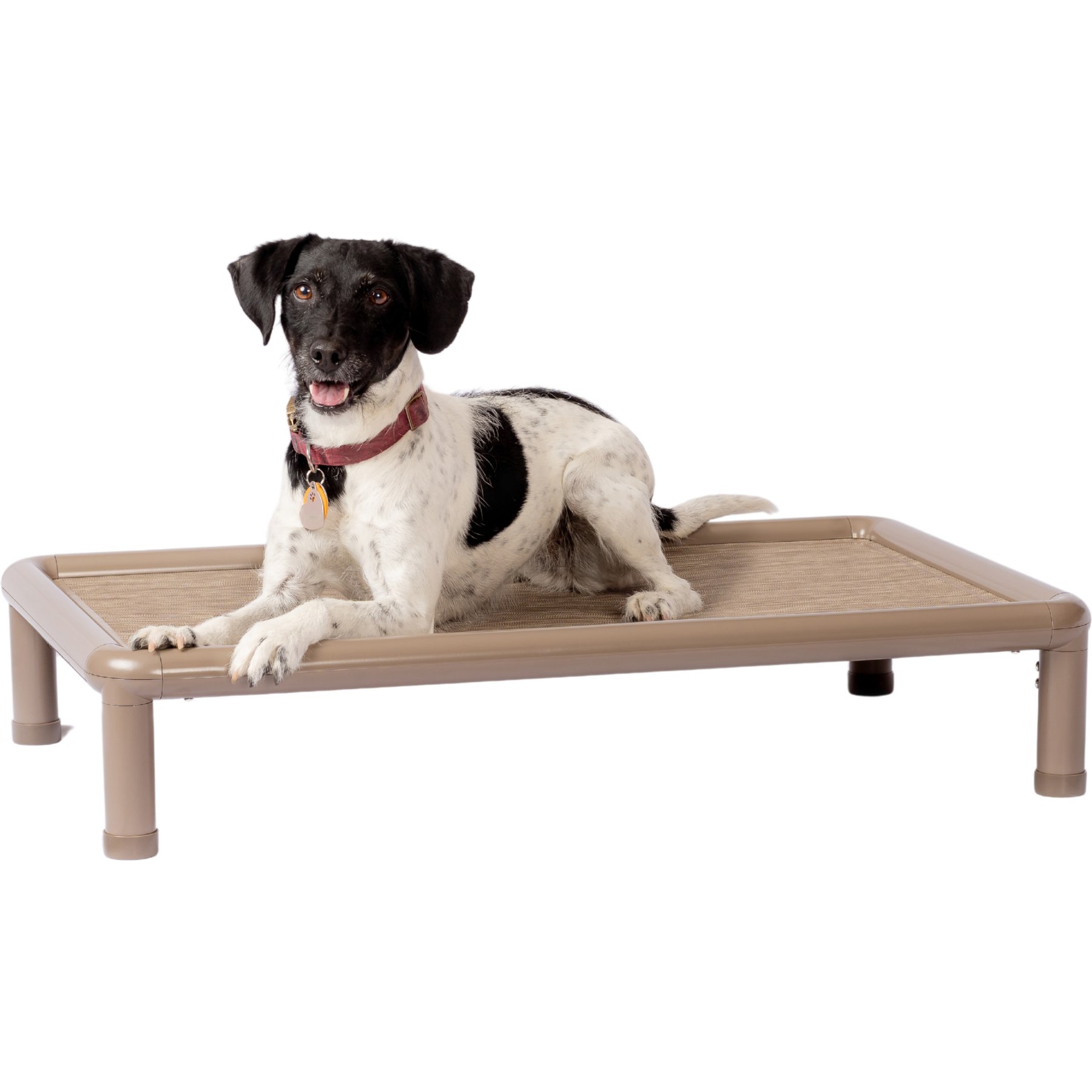 Snorehound Chew-Proof Aluminum Frame Elevated Dog Bed, Barking Brown, Small