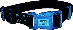 Sporn Personalized ID Dog Collar, Black/Blue, Large
