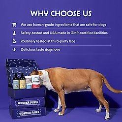 Wonder Paws Superhero Collagen 3X Liquid Supplement for Dogs, 4-fl oz bottle slide 2 of 9