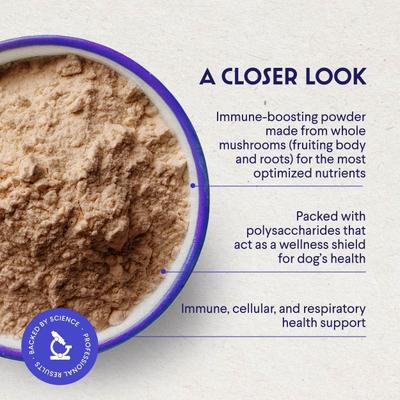 Show full view: Wonder Paws Superhero Organic Turkey Tail Mushroom Powder Supplement for Dogs, 2.12-oz jar slide 7 of 11