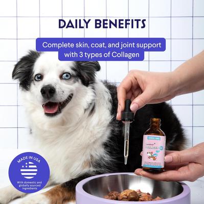 Show full view: Wonder Paws Superhero Collagen 3X Liquid Supplement for Dogs, 4-fl oz bottle slide 8 of 11