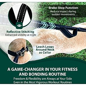 Sporn Run-Together Hands-Free Dog Jogging Belt & Leash, Black, Standard