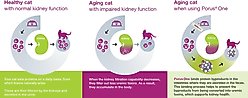Porus One Kidney Powder Supplement for Cats, 30 count slide 2 of 2