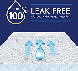 Scott Pet Guard Dog Advanced Training Pee Pads, Large: 22 x 22-in, 100 count slide 2 of 7