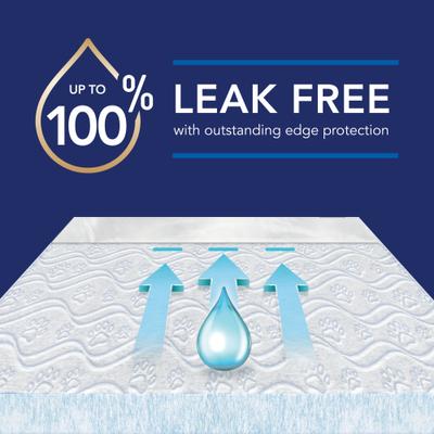 Show full view: Scott Pet Guard Dog Advanced Training Pee Pads, Large: 22 x 22-in, 50 count slide 3 of 8