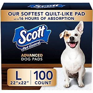 CuteBone Belly Band Male Dog Wrap Washable Dog Diapers