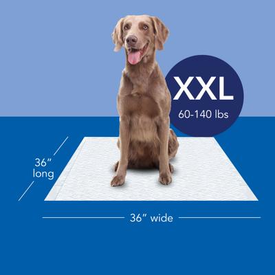 Show full view: Scott Pet Guard Dog Training Pee Pads, XX-Large: 36 x 36-in, 40 count slide 2 of 8