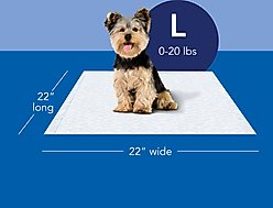 Scott Pet Guard Dog Training Pee Pads, Large: 22 x 22-in, 50 count slide 2 of 7