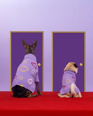 Show full view: maxbone Valentine's Day x Love Is Blind Jumper Dog Sweater, Purple, Small slide 5 of 5