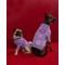 Show in main carousel: maxbone Valentine's Day x Love Is Blind Jumper Dog Sweater, Purple, Small slide 4 of 5