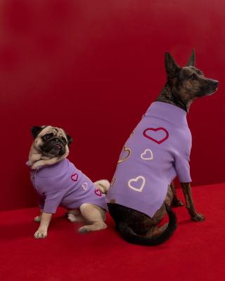 Show full view: maxbone Valentine's Day x Love Is Blind Jumper Dog Sweater, Purple, Small slide 4 of 5