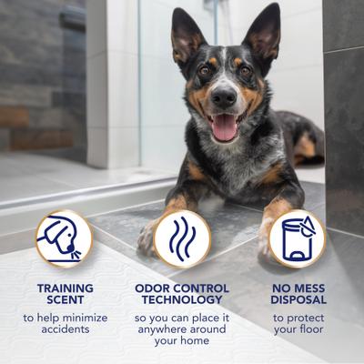 Show full view: Scott Pet Guard Dog Advanced Training Pee Pads, X-Large: 30 x 36-in, 40 count slide 6 of 9