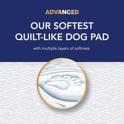 Show full view: Scott Pet Guard Dog Advanced Training Pee Pads, Large: 22 x 22-in, 50 count slide 5 of 8