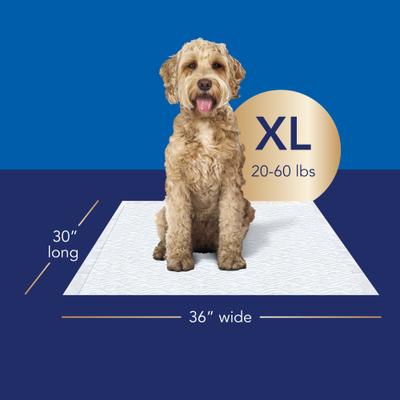Show full view: Scott Pet Guard Dog Advanced Training Pee Pads, X-Large: 30 x 36-in, 40 count slide 2 of 9