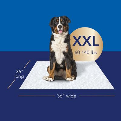 Show full view: Scott Pet Guard Dog Advanced Training Pee Pads, XX-Large: 36 x 36-in, 40 count slide 3 of 9