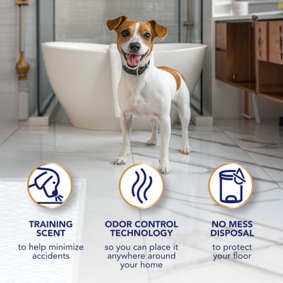 Show full view: Scott Pet Guard Dog Advanced Training Pee Pads, Large: 22 x 22-in, 50 count slide 6 of 8