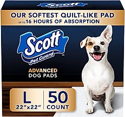 Scott Pet Guard Dog Advanced Training Pee Pads, Large: 22 x 22-in, 50 count