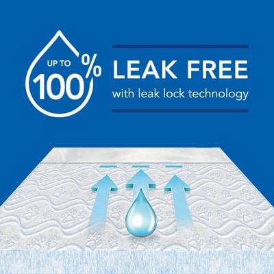 Show full view: Scott Pet Guard Dog Training Pee Pads, Large: 22 x 22-in, 50 count slide 3 of 8