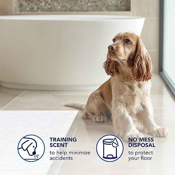 Show full view: Scott Pet Guard Dog Training Pee Pads, X-Large: 30 x 36-in, 20 count slide 6 of 9