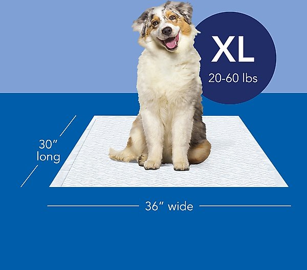 Show full view: Scott Pet Guard Dog Training Pee Pads, X-Large: 30 x 36-in, 20 count slide 2 of 9