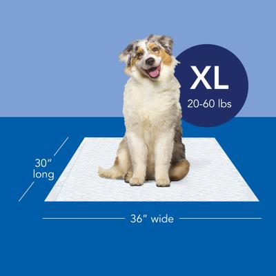 Show full view: Scott Pet Guard Dog Training Pee Pads, X-Large: 30 x 36-in, 20 count slide 2 of 9