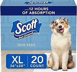 Scott Pet Guard Dog Training Pee Pads, X-Large: 30 x 36-in, 20 count slide 1 of 7