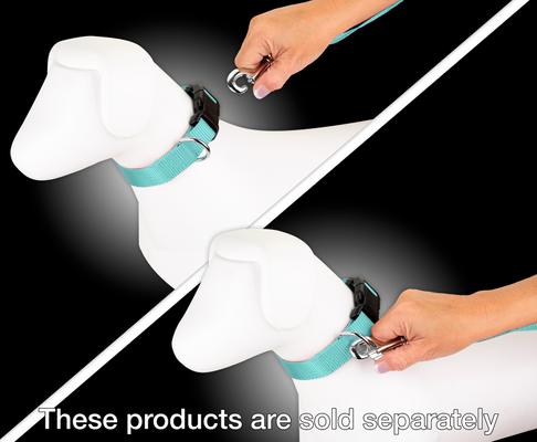 Show full view: Country Brook Design Nylon Dog Leash, 6-ft, Light Cyan, Large slide 3 of 6