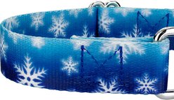 Country Brook Design Winter Wonderland Martingale Dog Collar, Small slide 2 of 6