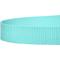 Show in main carousel: Country Brook Design Nylon Dog Leash, 6-ft, Light Cyan, Large slide 6 of 6