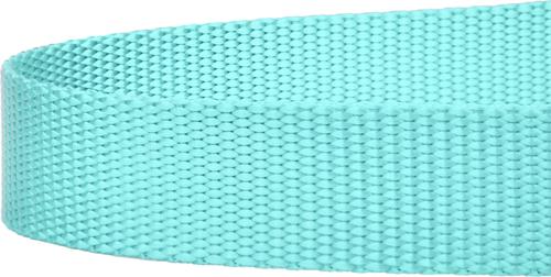 Show full view: Country Brook Design Nylon Dog Leash, 6-ft, Light Cyan, Large slide 6 of 6