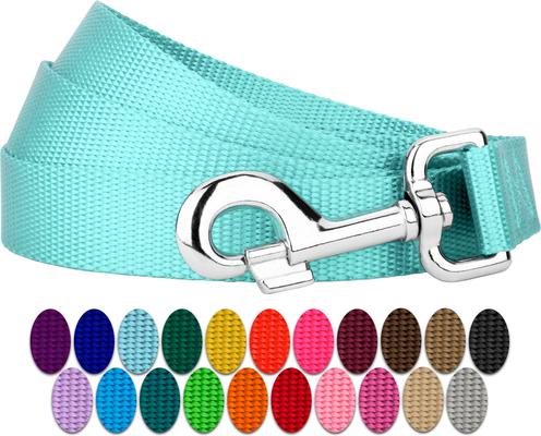 Show full view: Country Brook Design Nylon Dog Leash, 6-ft, Light Cyan, Large slide 4 of 6