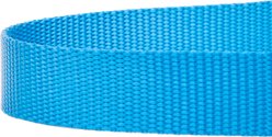Country Brook Design Nylon Dog Leash, 6-ft, Ice Blue, Large slide 2 of 7