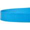 Show in main carousel: Country Brook Design Nylon Dog Leash, 6-ft, Ice Blue, Large slide 7 of 7