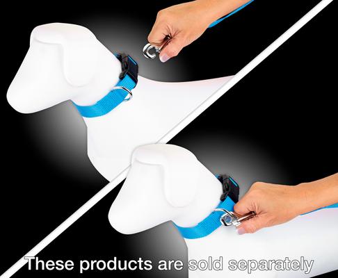 Show full view: Country Brook Design Nylon Dog Leash, 6-ft, Ice Blue, Large slide 4 of 7