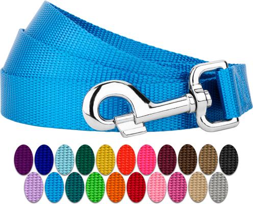 Show full view: Country Brook Design Nylon Dog Leash, 6-ft, Ice Blue, Large slide 5 of 7